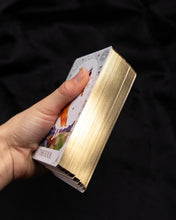Load image into Gallery viewer, Dreamy Moons Tarot Lightworker Edition