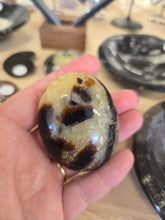 Load image into Gallery viewer, Septarian Palm Stone