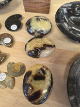 Load image into Gallery viewer, Septarian Palm Stone